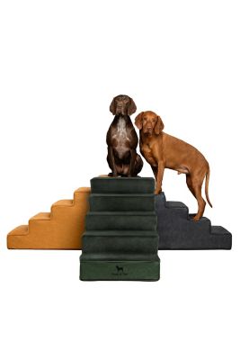 NOAH & PAW Pet Stairs Designed to Fit Small - Large Breeds (Foam Density 35D)