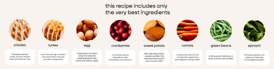 Image showing  Homestyle Creations Adult Chicken and Turkey Recipe with Veggies Fresh Dog Food, 1 lb.