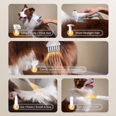 Image showing  BM1 8-in-1 Dog Grooming Vacuum & Dryer - Adjustable Speed/Temperature, Metal Blades for Shedding