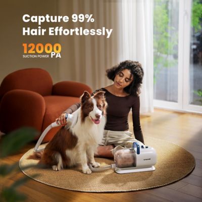 Image showing 6 th Oneisall BM1 8-in-1 Dog Grooming Vacuum & Dryer - Adjustable Speed/Temperature, Metal Blades for Shedding