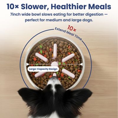 Image showing  Stainless Steel Slow-Feed Puzzle Dog Bowl, 64 oz.