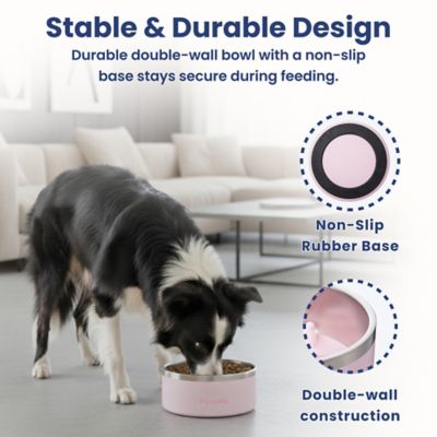 Image showing  Stainless Steel Slow-Feed Puzzle Dog Bowl, 64 oz.