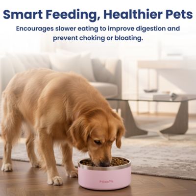 Image showing 8 th PawsPik Stainless Steel Slow-Feed Puzzle Dog Bowl, 64 oz.