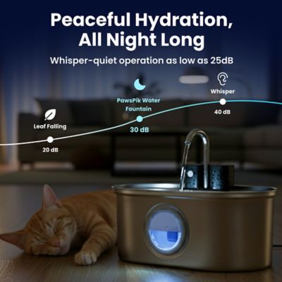 Image showing  Stainless Steel Battery - Operated Oval Dog & Cat Water Fountain, 3.2 L