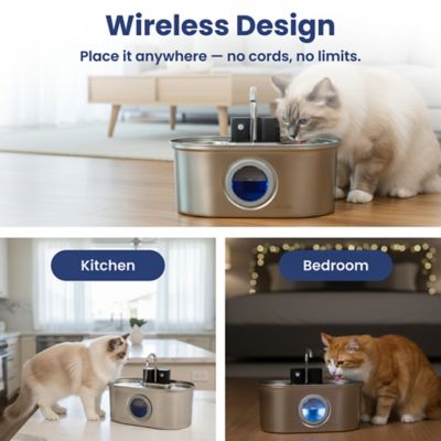 Image showing 5 th PawsPik Stainless Steel Battery - Operated Oval Dog & Cat Water Fountain, 3.2 L
