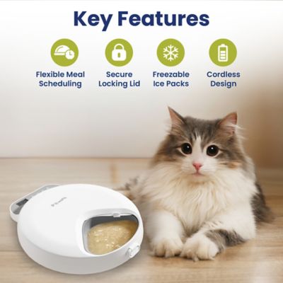 Image showing  Smart 4-Meal Automatic Dog & Cat Feeder, White, 4-cup