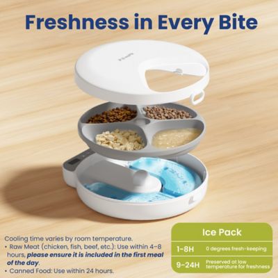 Image showing  Smart 4-Meal Automatic Dog & Cat Feeder, White, 4-cup