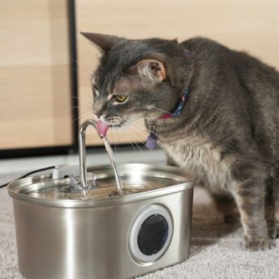 Image showing 7 th PawsPik SS-01 Stainless Steel Cat Fountain, 108.2 oz.