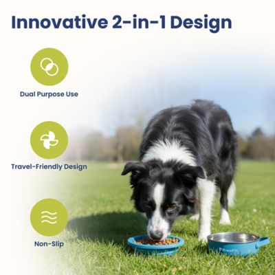 Image showing  2-in-1 Stainless Steel and Silicone Pet Travel Bowl