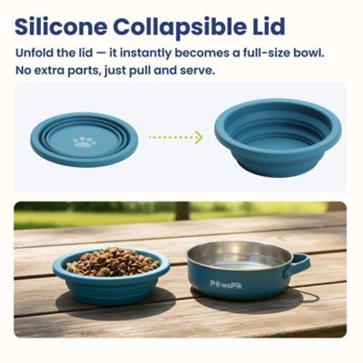 Image showing  2-in-1 Stainless Steel and Silicone Pet Travel Bowl