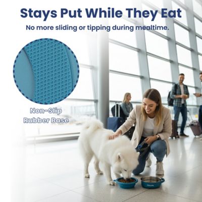 Image showing  2-in-1 Stainless Steel and Silicone Pet Travel Bowl