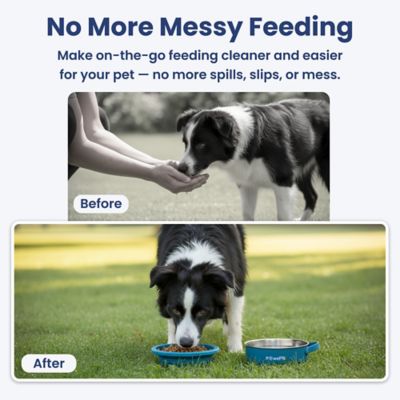 Image showing  2-in-1 Stainless Steel and Silicone Pet Travel Bowl