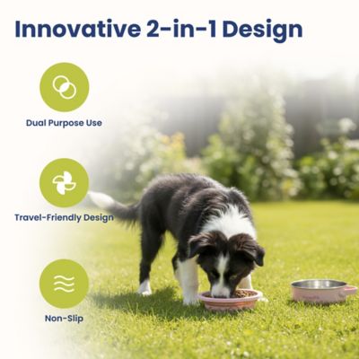 Image showing  2-in-1 Stainless Steel and Silicone Pet Travel Bowl