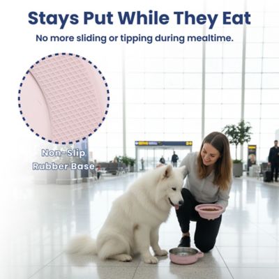 Image showing  2-in-1 Stainless Steel and Silicone Pet Travel Bowl