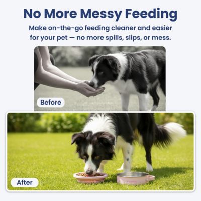 Image showing  2-in-1 Stainless Steel and Silicone Pet Travel Bowl