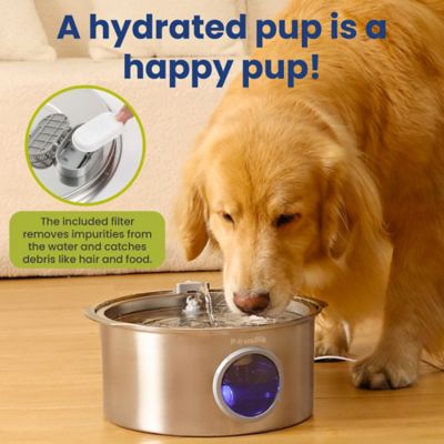 Image showing  Ultra-Quiet Stainless Steel Dog Water Fountain, 1.8 gal.