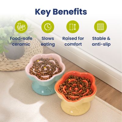 Image showing  Raised Ceramic Slow Feeder Dog & Cat Food Bowl