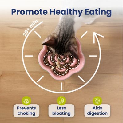 Image showing  Raised Ceramic Slow Feeder Dog & Cat Food Bowl