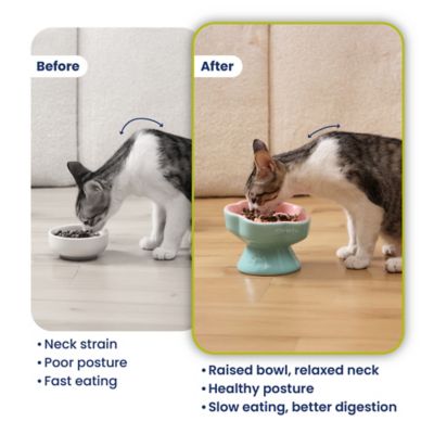 Image showing  Raised Ceramic Slow Feeder Dog & Cat Food Bowl