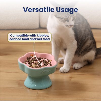 Image showing 5 th PawsPik Raised Ceramic Slow Feeder Dog & Cat Food Bowl