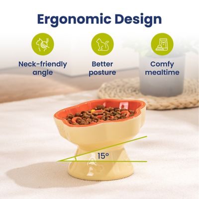 Image showing  Raised Ceramic Slow Feeder Dog & Cat Food Bowl