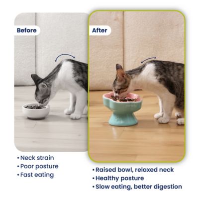 Image showing  Raised Ceramic Slow Feeder Dog & Cat Food Bowl