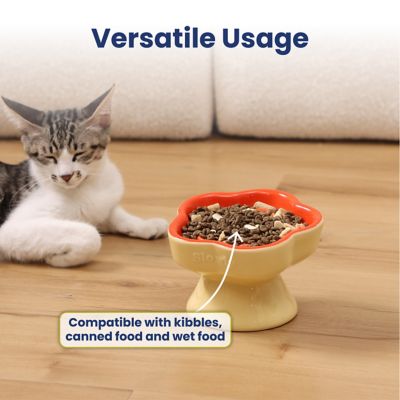 Image showing 5 th PawsPik Raised Ceramic Slow Feeder Dog & Cat Food Bowl