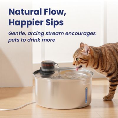 Image showing 6 th PawsPik PureFlow MAX Stainless Steel Curve Cat and Small Dog Water Fountain, 3.2 L