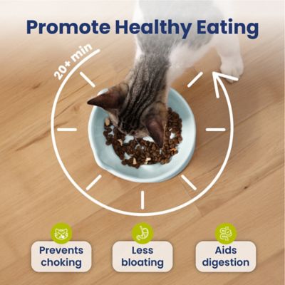 Image showing  Lynx Ceramic Raised Slow Food Bowl