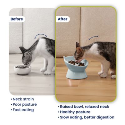 Image showing  Lynx Ceramic Raised Slow Food Bowl