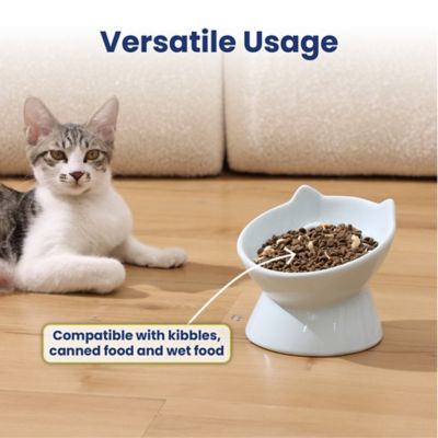 Image showing 5 th PawsPik Lynx Ceramic Raised Slow Food Bowl