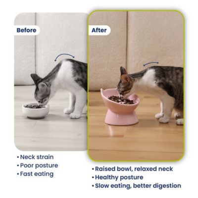 Image showing  Lynx Ceramic Raised Slow Food Bowl