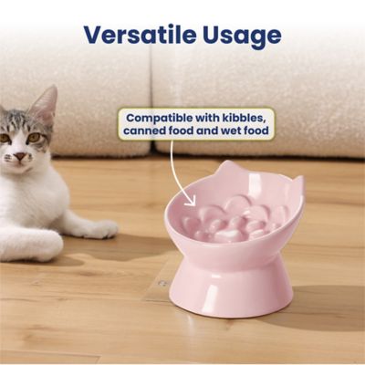 Image showing 5 th PawsPik Lynx Ceramic Raised Slow Food Bowl