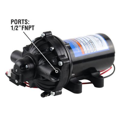 Image showing  12V On-Demand Diaphragm Pump - 4.0GPM, 60 PSI Max, 1/2 in. FNPT Ports