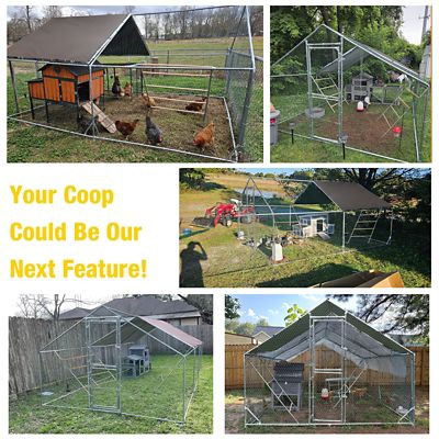 Image showing  Extra Large Metal Chicken Run for Chickens, Ducks, Rabbits, and Small Animals