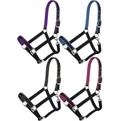Image showing  Neoprene Padded Nylon Halter