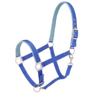 Image showing 0 th Tough1 Padded Halter with Satin Hardware