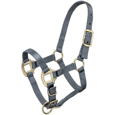 Product TrademarkColor1