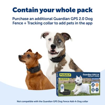 Image showing 5 th PetSafe Guardian GPS 2.0 Dog Fence + Tracking