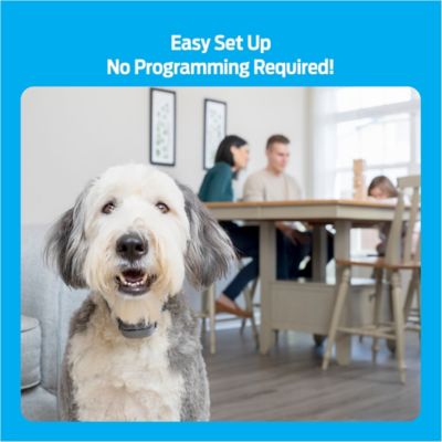 Image showing 5 th Premier Pet Rechargeable Bark Collar