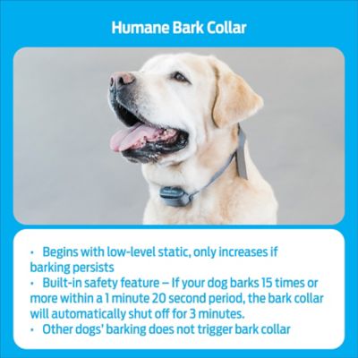 Image showing 6 th Premier Pet Bark Collar