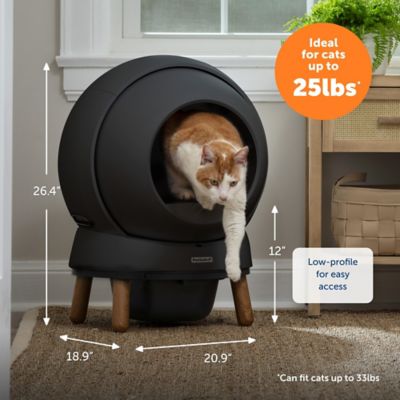 Image showing 5 th PetSafe ScoopFree SmartSpin Self-Cleaning Litter Box, Black