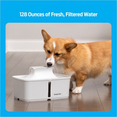 Image showing  Pet Water Fountain