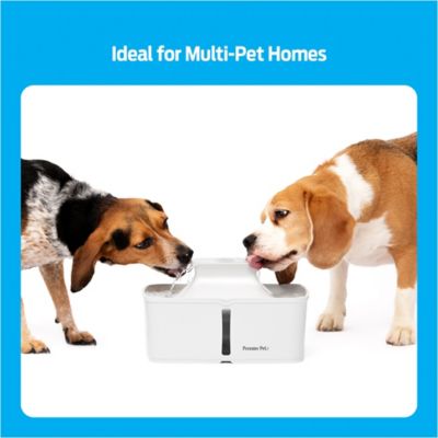 Image showing 5 th Premier Pet Pet Water Fountain