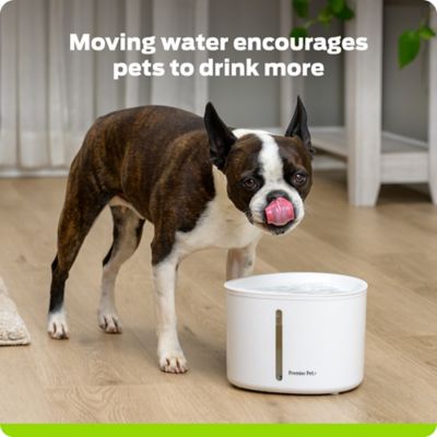 Image showing  Pet Water Fountain