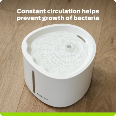 Image showing  Pet Water Fountain