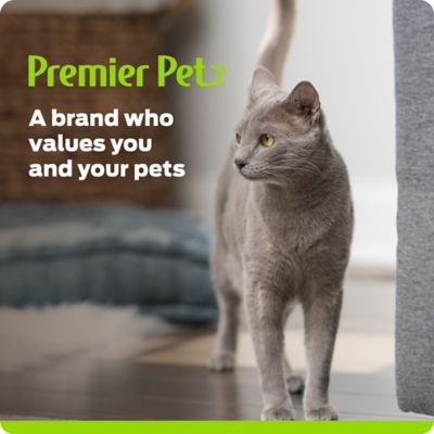 Image showing 6 th Premier Pet Pet Water Fountain