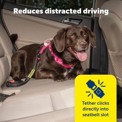 Image showing  Safety Seatbet Tether, Black