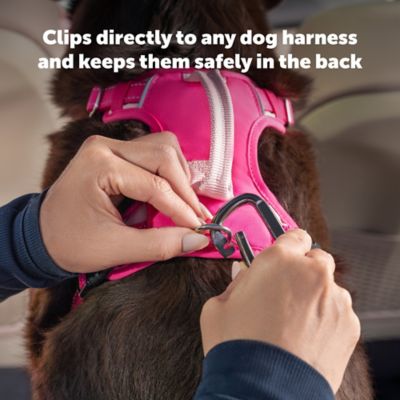 Image showing  Safety Seatbet Tether, Black