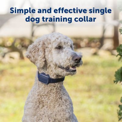 Image showing  Basic Dog Trainer with Remote